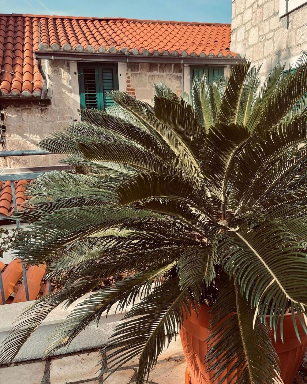 Villa Saint Lucas Split Exteriér fotografie